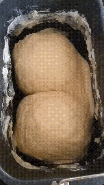 The Knead — bread dough being worked by hand