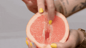 The Grapefruit — a pink grapefruit half being assessed for quality